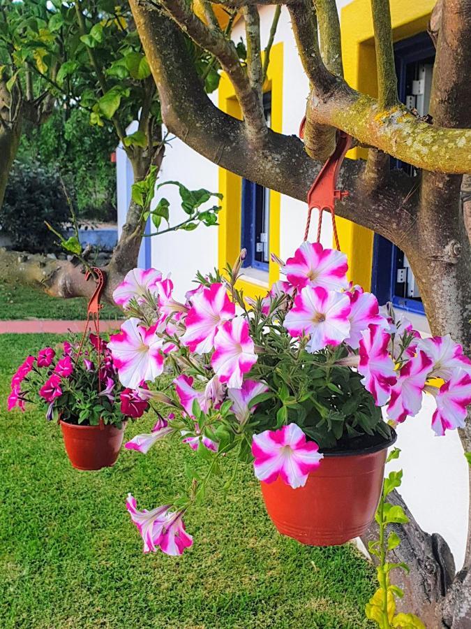Sondela Self Catering Villa เซามาร์ทินโญโดปอร์โต ภายนอก รูปภาพ
