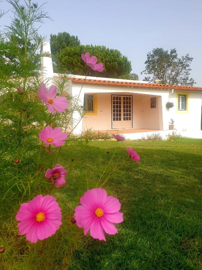 Sondela Self Catering Villa เซามาร์ทินโญโดปอร์โต ภายนอก รูปภาพ