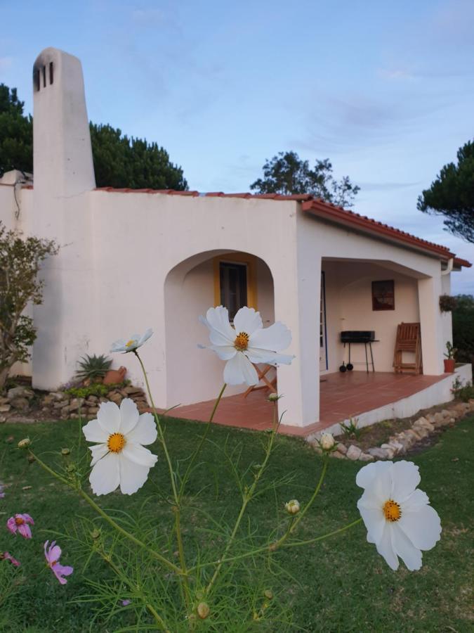 Sondela Self Catering Villa เซามาร์ทินโญโดปอร์โต ภายนอก รูปภาพ
