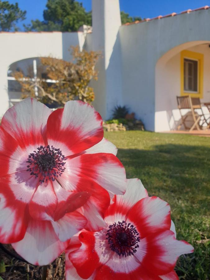 Sondela Self Catering Villa เซามาร์ทินโญโดปอร์โต ภายนอก รูปภาพ